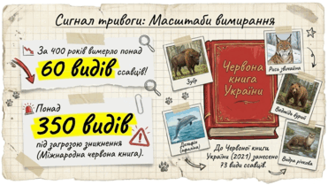 0901r2tn-cf0b-371x209.png