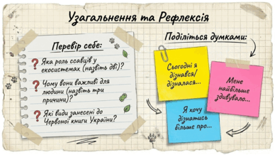 0901r2tu-22fc-388x218.png