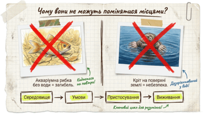 0901r316-4dc7-398x224.png