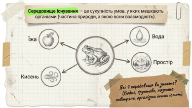 0901r31d-c4f1-389x219.png