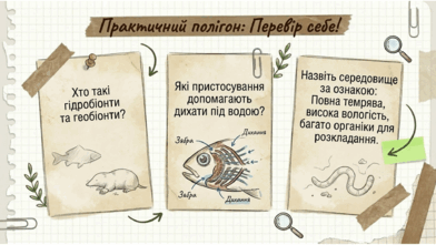 0901r324-bfbd-392x221.png