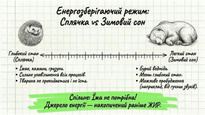 0901r36r-2e28-417x235.png