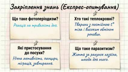0901r378-4728-426x240.png