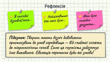 0901r379-ea70-377x212.png