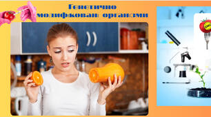Генетично модифіковані організми