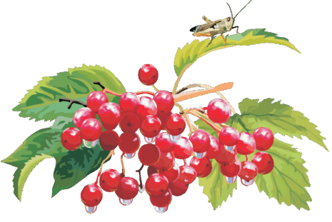 0901r4fz-22a0-465x311.png