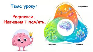 Презентація з біології: Рефлекси. Навчання і пам’ять. 8 клас НУШ.