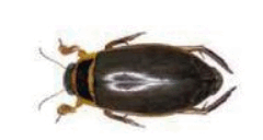 0901r5j1-d3df-274x146.png