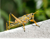 0901r5j3-ea70-218x170.png