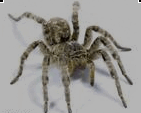 0901r5jd-755f-249x200.png