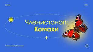 Членистоногі: комахи, різноманітність.