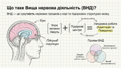 0901r6o0-678f-417x234.png