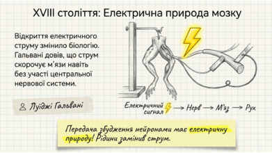 0901r6o7-122e-391x220.png