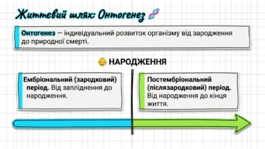 0901r6pt-5704-371x209.png