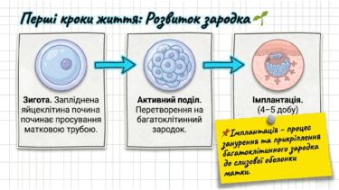 0901r6px-b0f3-375x211.png