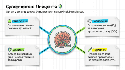 0901r6q0-80e8-435x245.png