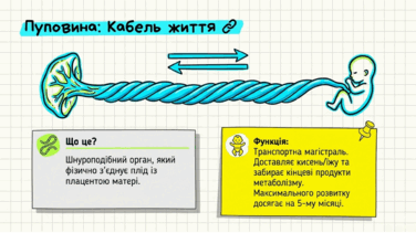 0901r6q2-d102-376x211.png