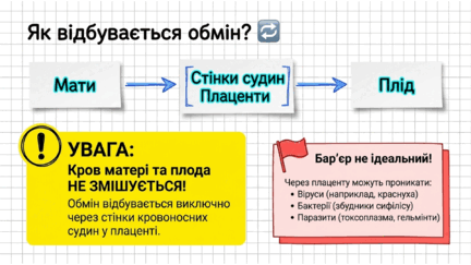 0901r6q7-593f-432x243.png