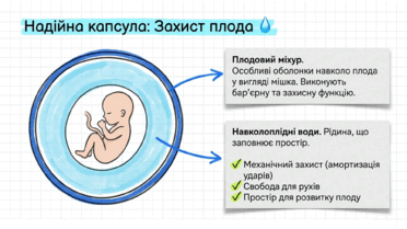 0901r6qb-c164-372x209.png