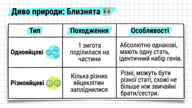 0901r6ql-ee22-375x211.png
