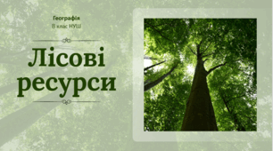 Презентація з географії для 8 класу НУШ за темою: "Лісові ресурси"