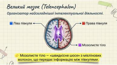 0901r8ha-e6c9-387x218.png