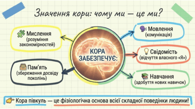 0901r8ip-9495-381x214.png