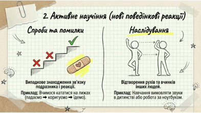 0901r8ri-a576-393x221.png