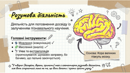 0901r8ry-bf4c-426x240.png