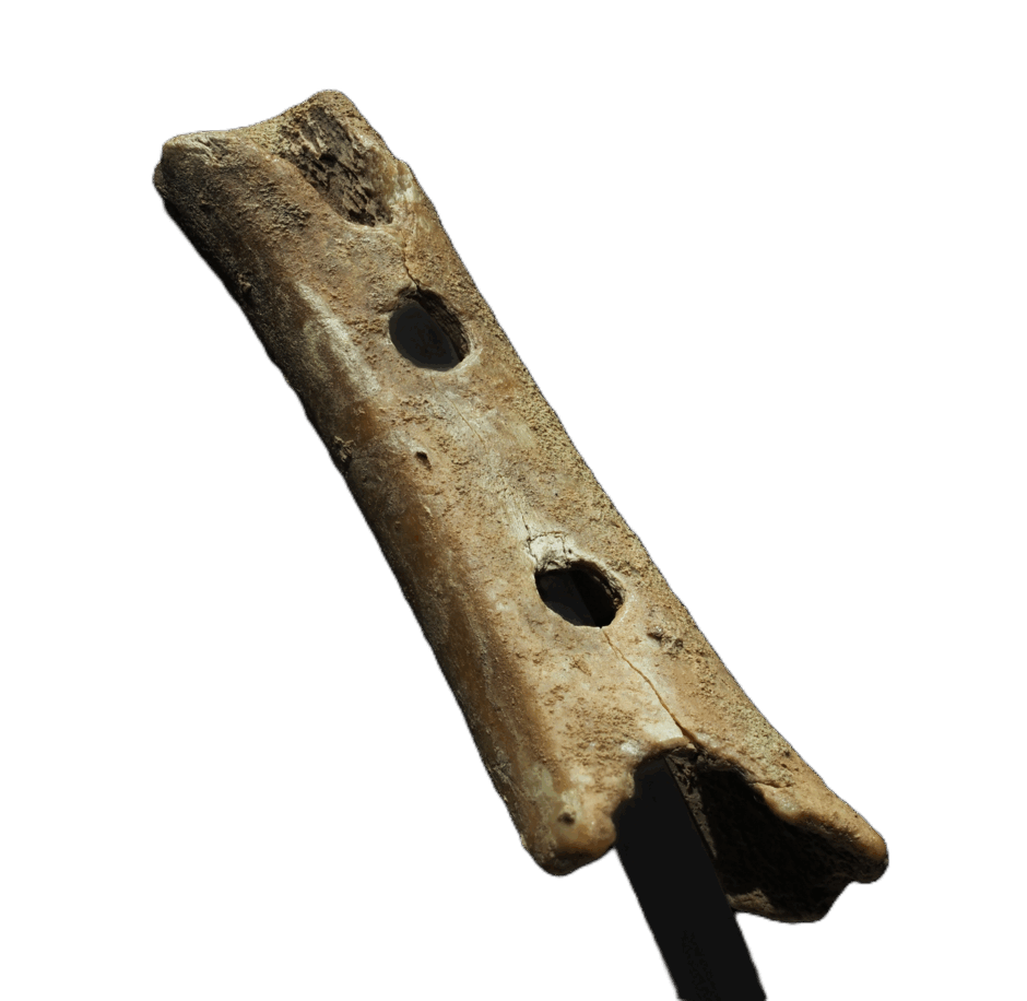 0901r8t2-b4ab-940x916.png