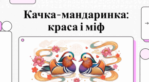 Сяюча качка-мандаринка: живий шедевр природи