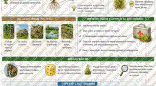 Мохоподібні. Робочий аркуш