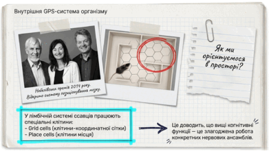 0901r9er-583e-391x220.png