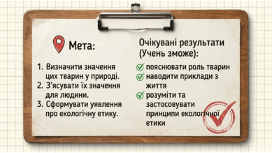 0901ra9f-803f-389x219.png