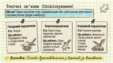 0901ra9p-e28c-394x222.png
