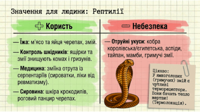 0901ra9q-49c7-407x229.png
