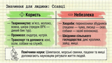 0901ra9r-b3f2-384x216.png