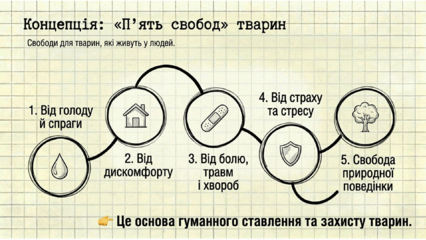 0901ra9u-41a6-426x240.png