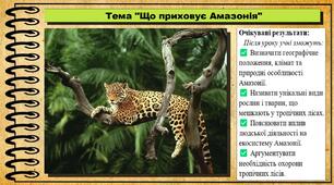 Що приховує Амазонія. 6 клас (НУШ). Пізнаємо природу. За підручником Біди Дарії.