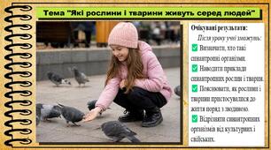 Які рослини і тварини живуть серед людей. 6 клас (НУШ). Пізнаємо природу. За підручником Біди Дарії.