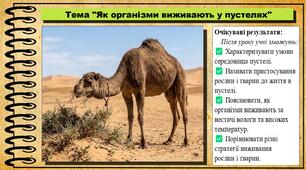 Як організми виживають у пустелях. 6 клас (НУШ). Пізнаємо природу. За підручником Біди Дарії.