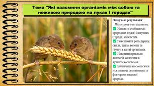 Які взаємини організмів між собою та неживою природою на луках і городах. 6 клас (НУШ). Пізнаємо природу. За підручником Біди Дарії.