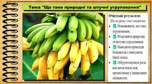Що таке природні та штучні угруповання. 6 клас (НУШ). Пізнаємо природу. За підручником Біди Дарії.