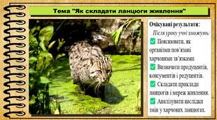 Як складати ланцюги живлення. 6 клас (НУШ). Пізнаємо природу. За підручником Біди Дарії.