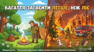 Пазл "Бережи ліс від полум'я"