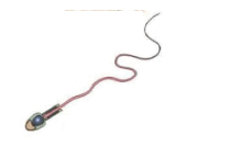 0901rcvj-bfeb-219x133.png