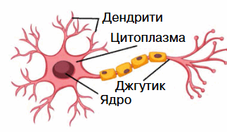 0901rcvy-92a2-323x189.png