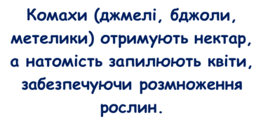 0901rcxi-7caa-385x181.png