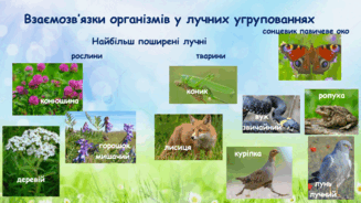 0901rcyo-3af5-327x184.png