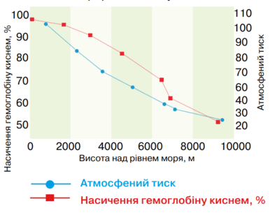 0901rcyt-aabe-396x308.png